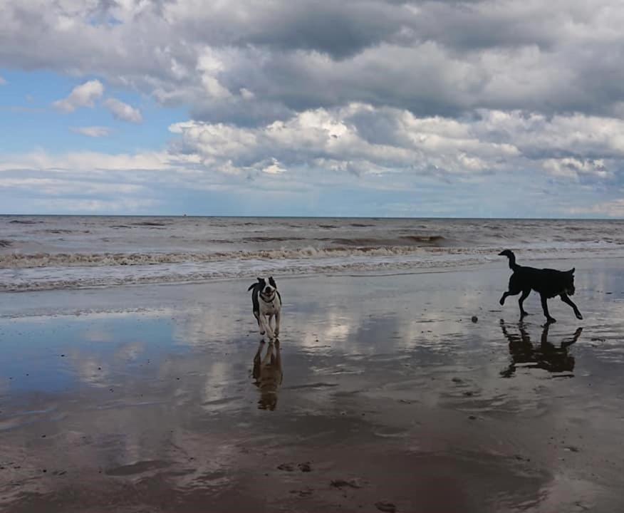 Bridlington'S Bolt Hole Chalet 外观 照片