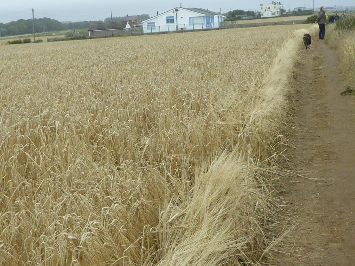 Bridlington'S Bolt Hole Chalet 外观 照片