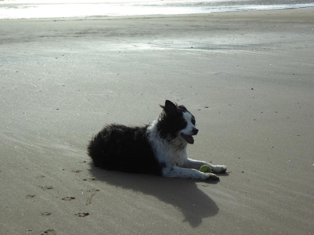 Bridlington'S Bolt Hole Chalet 外观 照片